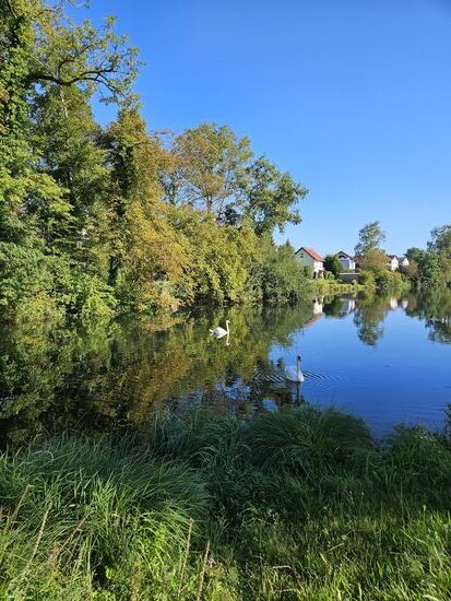 Es herbstelt langsam