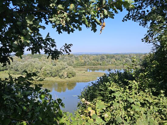 Wunderschöner Ausblick auf die Auenlandschaft