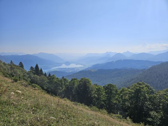 Blick vom Zwölferhorn auf den Wolfgangsee
