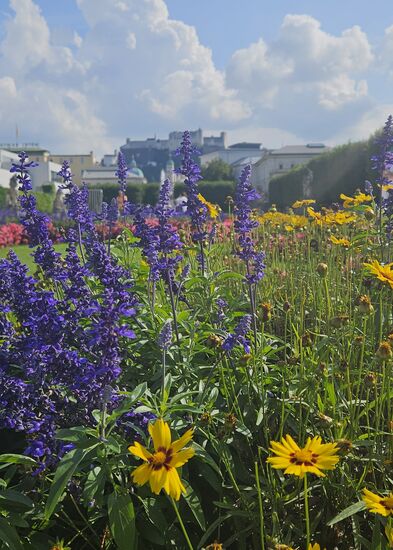 Garten beim Schloss Mirabell