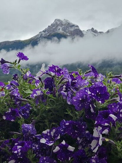 Es hat geschneit...besser für den Wasserpegel...etwas frischer zum Fahren