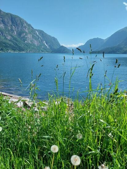 Blick vom Campingplatz Trolltunga auf den See Sandvevatnet