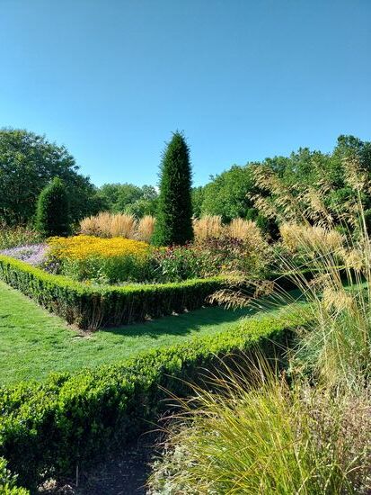 Die Dubliner genießen das Sommerwetter in den zahlreichen Parkanlagen auf den gepflegten Rasenflächen- z.B. Stephens Green.