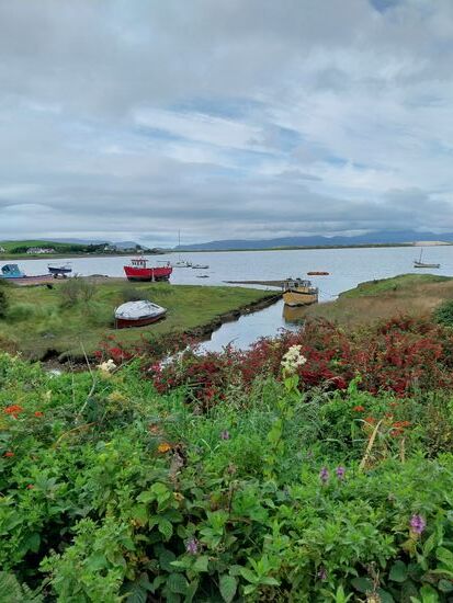 Am Atlantik bei Westport