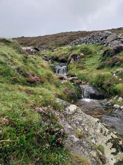 Bachlauf am Croagh Patrick