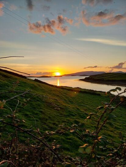 Abendstimmung Clew Bay- auf der Nachbarinsel ist eine Seehundkolonie