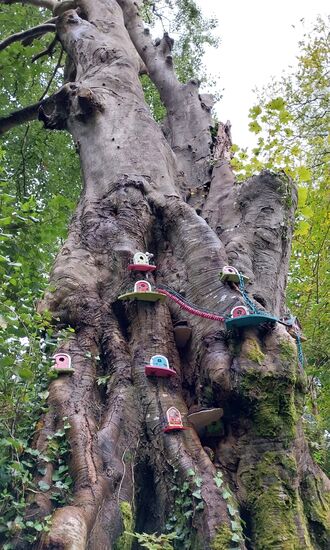 Feenbaum- mit kleinen Türchen