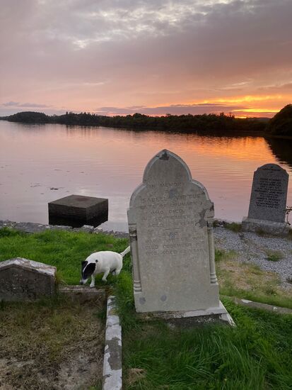 Abendstimmung in Donegal- Hund Benty kommt um die Ecke, später ist er abgehauen, wir helfen suchen und kommen mit seinem irischen Frauchen ins Gespräch.
Uns fällt auf, dass die Iren sehr kontaktfreudig sind und sehr schnell über die Familie Verbindungen herstellen: " My daughter is in Germany near Munster..."