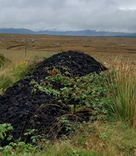 Ein Haufen gestochener Torf- überall um uns herum Moor (vor den Häusern Torf geschichtet-zum Heizen privat noch erlaubt).