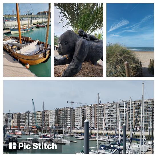 Belgien- Yachthafen in Blankenberge