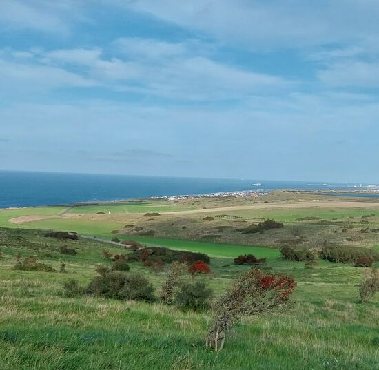 Calais- Sangette- aus der geplanten Radtour wird wegen der Steigung und dem Gegenwind eine Wanderung mit Rad schieben zum Cap. Auf der Rückfahrt kommen wir auf eine Geschwindigkeit von knapp 50 km mit dem Rad! Fast ohne einmal zu treten, kommen wir den ganzen Weg zum Campingplatz zurück, so stark weht nun der Wind von hinten.
