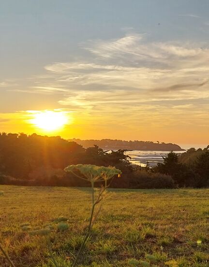 Mit dem Rad auf der D201 bei St.Malo