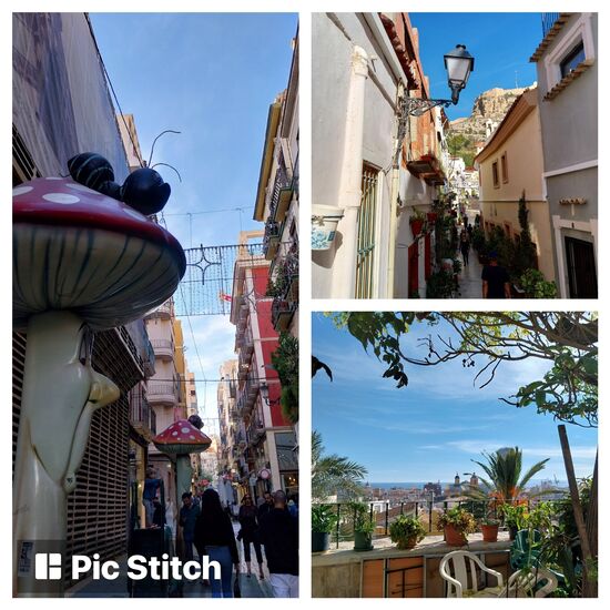 El carrer dels bolets in Alicante- geniale Geschäftsidee eines ortsansässigen Unternehmens, er lies in der Strasse große Pilze aufstellen, die Touristen mögen es, das führte zu erheblicher Umsatzsteigerung.