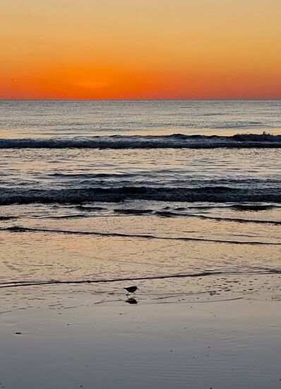 Sonnenuntergang bei Chiclana de la Fontera  am Strand mit Strandläufer