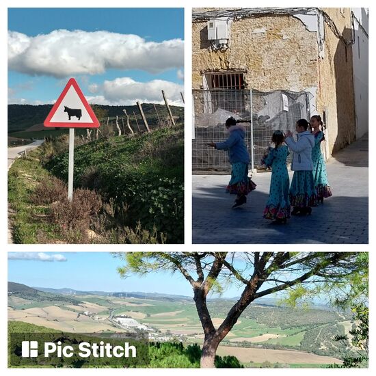 Andalusien: Stiere, Flamenco schon bei den Kleinen und Berge mit schönen Ausblicken