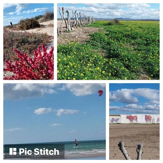 Conel de la Fontera- Küstenwanderweg