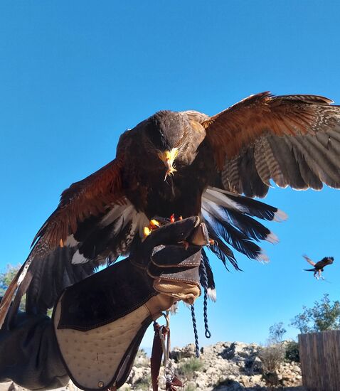 Flugshow in den Bergen von Benalmádena