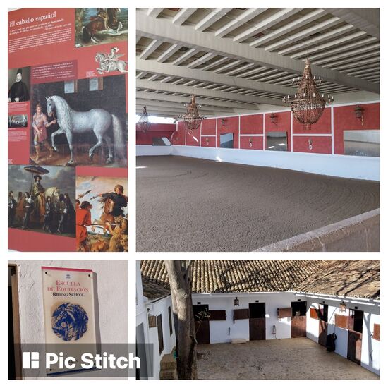 Spanische Hofreitschule- angegliedert an den Bereich der Stierkampfarena- hier sind aktuell Pferde untergebracht und sie werden auch hier trainiert und ausgebildet.
