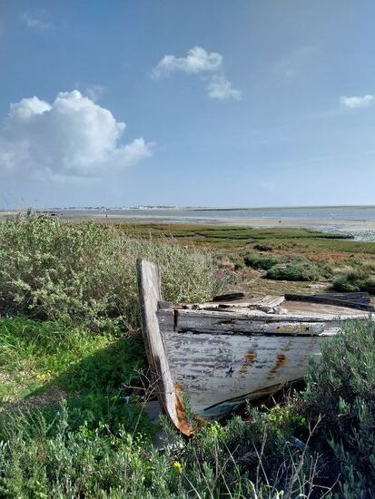 Parque naturale de Ria Formosa