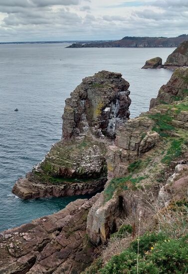Vogelfelsen: Möwen, Cormorane, Papageientaucher, Lummen...