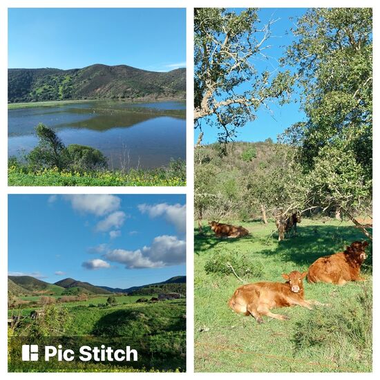 Landschaft bei Aljezur