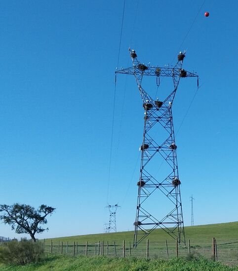 Wir zählen weit über 100 Störche auf dem Weg nach Lissabon- sie haben sich oft an den verücktesten Stellen Nester gebaut- hier sind gleich 12 Storchenpärchen in einem Strommast