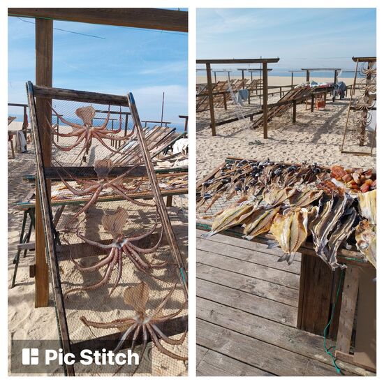 Trockenfisch mit Verkaufsstand (Seca do Peixe) - eine einzigartige Attraktion diese traditionelle Art des Fischtrocknen so einmal zu sehen