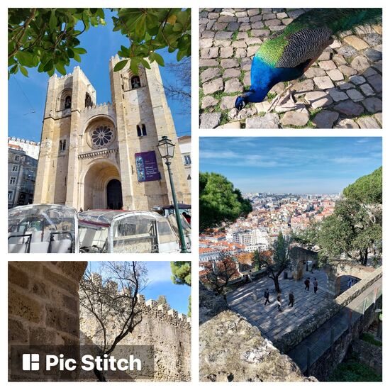 Kathedrale von Lissabon und Bilder vom Castelo de S.Jorge mit Pfauen und super Aussicht
