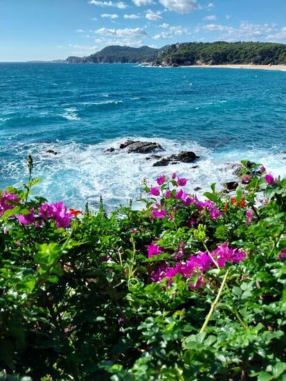 Wanderung auf dem GR 92 nach Lorett de Mar (Cami de Ronda)