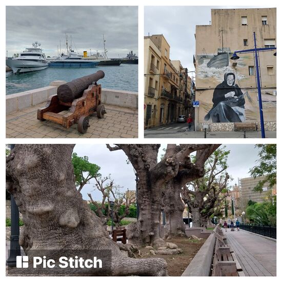 Tarragona Hafen- Fischerviertel und prachtvolle Bäume auf der Stadtpromenade