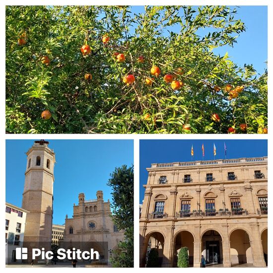 Zwangspause in Castellòn de la Plana- in der größeren Stadt knapp 200000 Einwohner  gibt's  eine VW-Werkstatt. Wir haben Probleme mit dem AdBlue-System und alle Stossdämpfer müssen gewechselt werden. Wir ziehen für 2 Nächte ins Hotel um (B&amp;B-Hotel 85 € für 2 Pers. pro Nacht mit Frühstück).