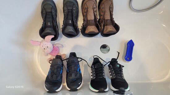 Ferkel und die geputzten Schuhe