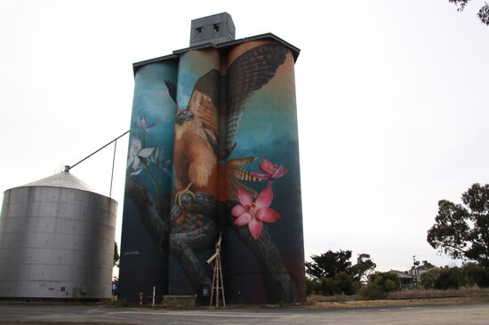 Die Kunstwerke auf den Silos sind gemalt oder werden projiziert.