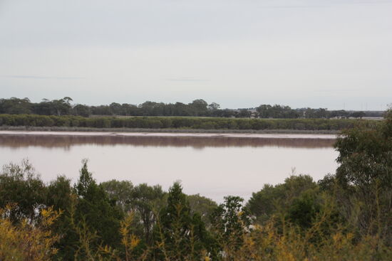 Der Pink Lake - ohne Sonne und mit wenig Wasser.