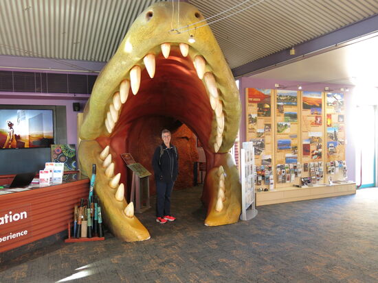 Schön gemachter Eingang in die Ausstellung.