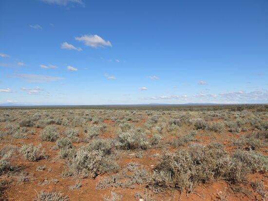 Die ersten Kilometer im Outback