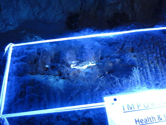 Opale werden durch UV-Licht enttarnt.