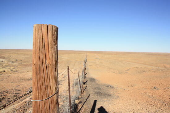 Der Dingo Fence ist ein Zaun der auf sagenhaften 5.300 Kilometern quer durch Australien die wilden Hunde (Dingos) davon abhalten soll, auch den Süden zu erobern.