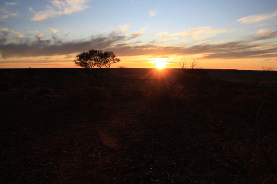 Sonnenuntergang im Outback