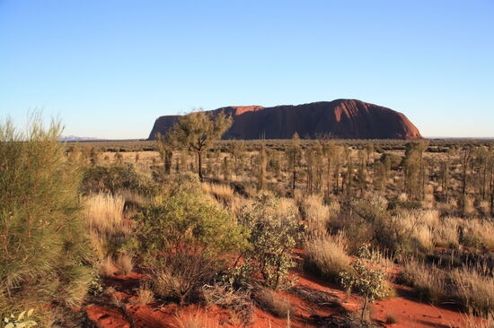 Der Uluru sieht heute natürlich ganz anders aus als gestern - besser nochmal fotografieren.