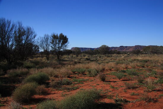 Blick vom Campground