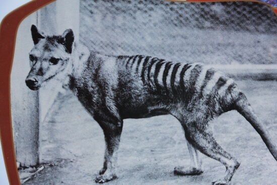 ... und hier das Vergleichsfoto der Wissenschaftler.