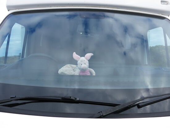 Ferkel sitzt wie immer ganz vorne