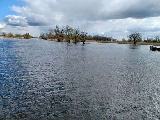Die Havel aufwäürts bei Hochwasser
