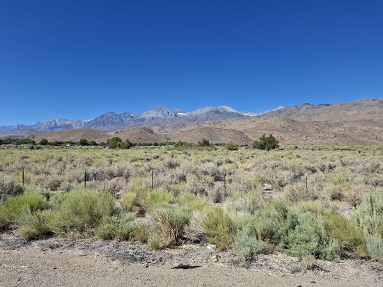 Mount Whitney an der Straße nach Lone Pine.