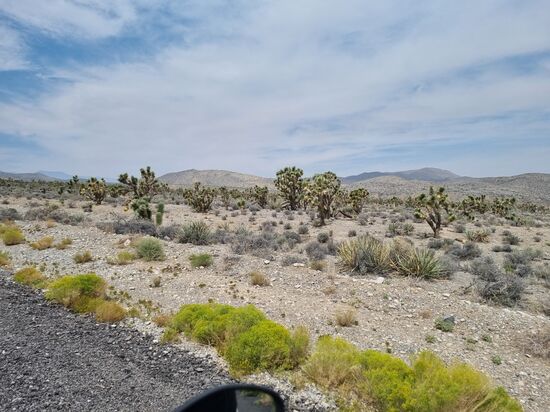 Indian Springs, auf dem Weg zum Mount Charlston, wahnsinns Landschaft.