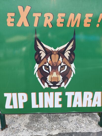 Davon haben wir geträumt.