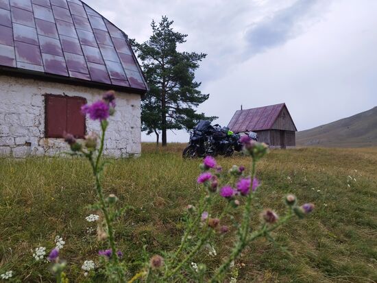Auch ein künstlerisch herrausragendes Foto muß mal sein.