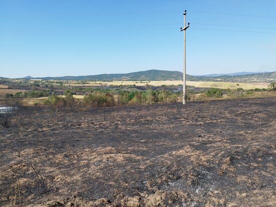Abgebranntes Feld im Gebirge, überall hat es gebrannt oder gekokelt