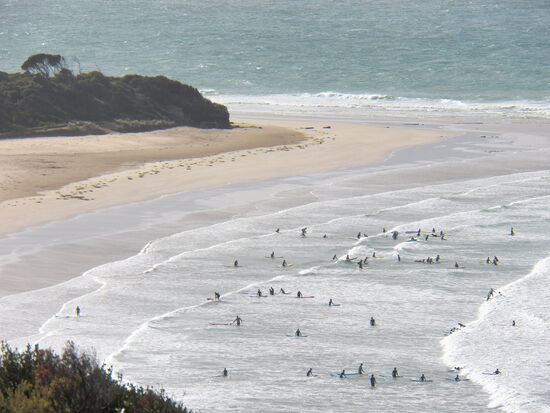 Surfer in Torquay, bis dahin sind es 100 km
